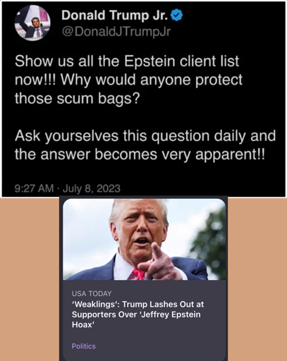 A certain sitting president (also a convited felon) shitting on his supporters so he can hide his life as a child rapist.
