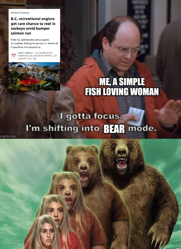 A vertical two-panel meme. The top panel shows a screenshot of George Costanza from the show Seinfeld, with his hands up and a determined look on his face. The superimposed text reads "ME, A SIMPLE FISH LOVING WOMAN," "I gotta focus," and "I'm shifting into BEAR mode." In the top-left corner of the panel, a news article screenshot is overlaid with the headline "B.C. recreational anglers get rare chance to reel in sockeye amid bumper salmon run." The bottom panel is a still from the television show Animorphs, featuring the main characters' faces superimposed onto the bodies of three grizzly bears. The bears are snarling and standing side-by-side.